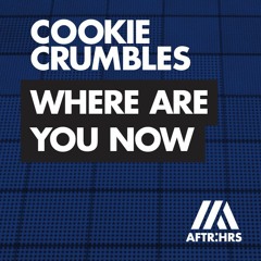 Cookie Crumbles - Where Are You Now
