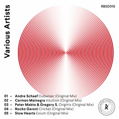 RBSD010 V.A. - Split EP