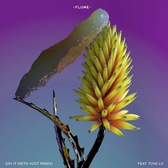 Flume feat Tove Lo "Say It" (Seth Vogt Remix)
