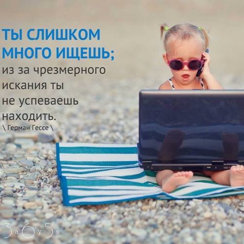 Цитата о поиске