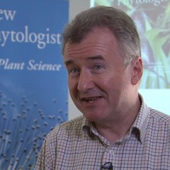 Interview with Alistair Hetherington, Editor-in-Chief, New Phytologist