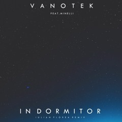 Vanotek feat. Minelli - In Dormitor (Iulian Florea Remix)