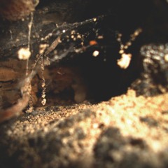 pseudoexpresionismo I