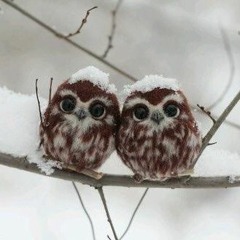 Unchained Melody - covered Iridessa