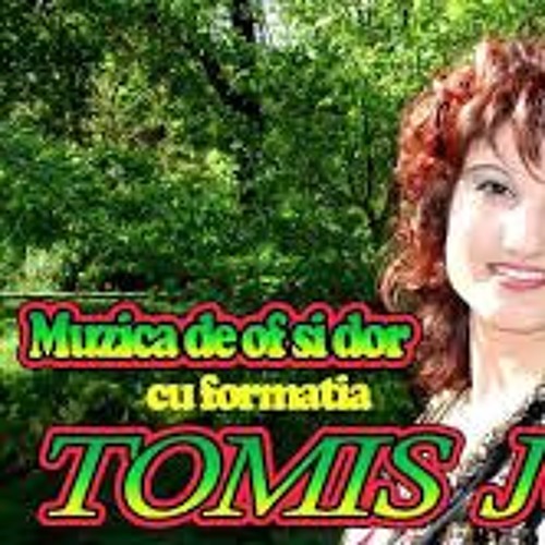 Tomis Junior - Un trandafir creste la firida mea