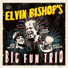 Elvin Bishop's Big Fun Trio - Keep On Rollin'