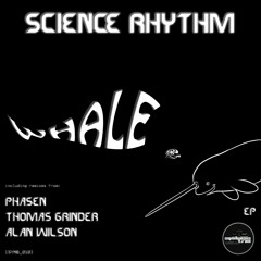 Science Rhythm - The Return Key (original Mix)