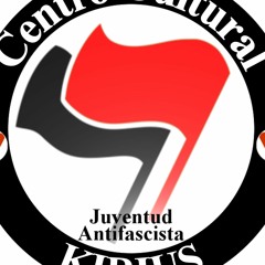 Entrevista De Comunicación  Organizacional Realizada Al Colectivo Kirius XIX
