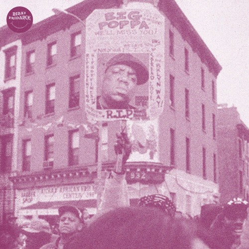 The Notorious Big - Big poppa (Nina remix)