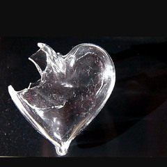 Disposable (prod brandon.)