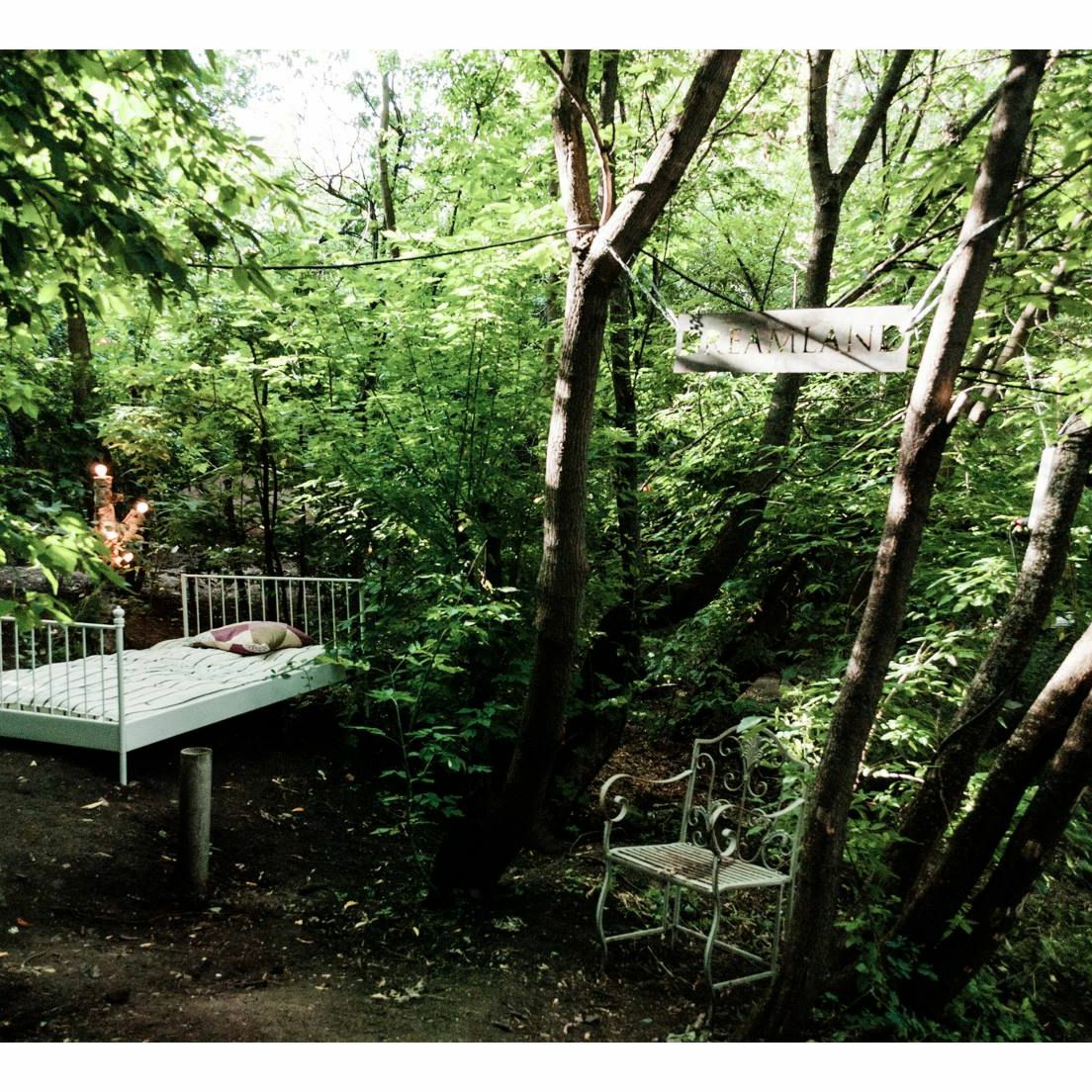 John D | MoonLodge