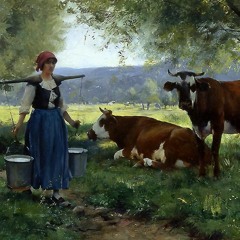 Pretty Girl Milking A Cow
