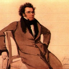 Franz Schubert - Symphony no 9 in C major The Great Movement 2