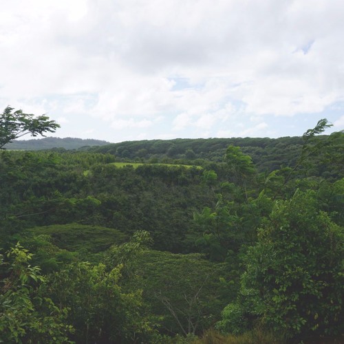 "AƎrosol Can" Ｍｉｎｔ Ｔｒｅｅｓ Bae Area mix