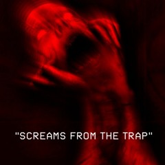 Screams From The Trap Feat. Banboi Chimes