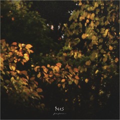 Tecs Evergreen- Last November (Frail Forms LP)