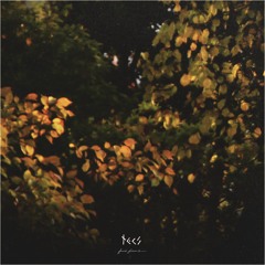 Tecs Evergreen- Your Color Was Blue (Frail Forms LP)