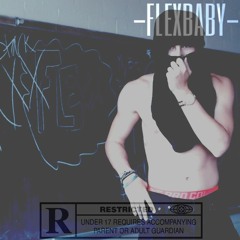 FLEXBABY FREESTYLE