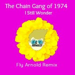The Chain Gang Of 1974- I Still Wonder (Fly Arnold Remix)