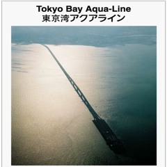Tokyo Bay Aqua‑Line