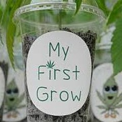 First GROW