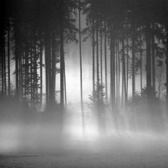 Abstrakt - Shadow Path