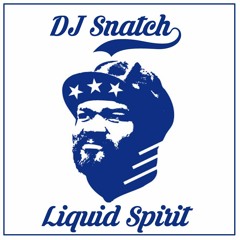 Gregory Porter - Liquid Spirit (Snatch Rework)