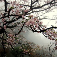 Yung Ichiban - A E S T H E T I C S