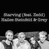 (Cover) Starving (feat. Zedd) - Hailee Steinfeld & Grey