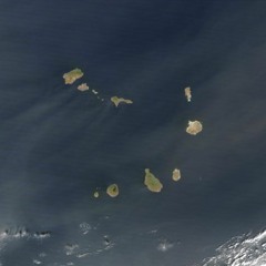 Calina by Belo Freire