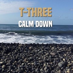 "Calm Down " Instrumental by T-Three