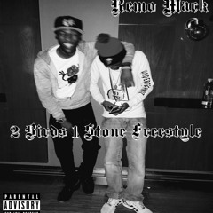 2 Birds 1 Stone Freestyle