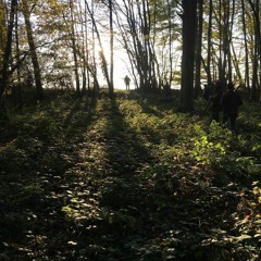 Médaille - L'intuition ft BrainCivilize (BeatMaker)