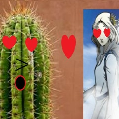 Daisy's True Love 【A/E Test】