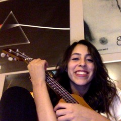 Hotel California Cover