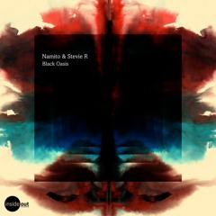 PREMIERE: Namito & Stevie R - Black Oasis (Ron Flatter Remix)