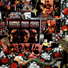 Better Than Never / Lets Go