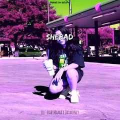 SheBad Chopped-Lil' BabyMama x DXXMXNXY