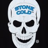WWE- Glass Shatters (Stone Cold Steve Austin) Theme Song AE (Arena Effect)