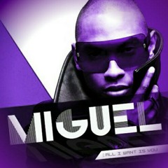Miguel - Vixen C&S snippet.mp3