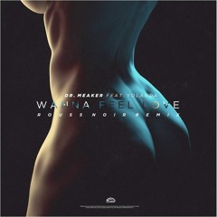 Dr. Meaker - Wanna Feel Love feat. Yolanda (Rouss Noir Remix)