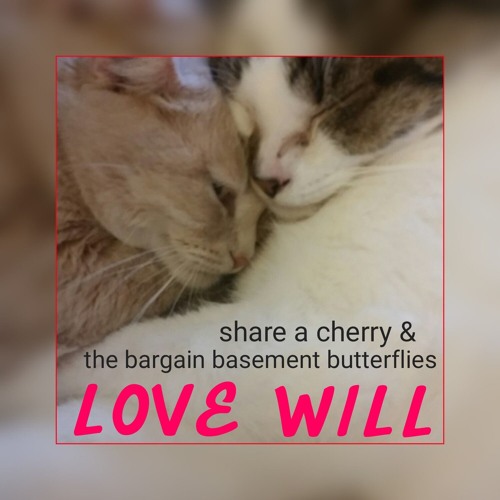 Love Will-Share A Cherry & The Bargain Basement Butterflies