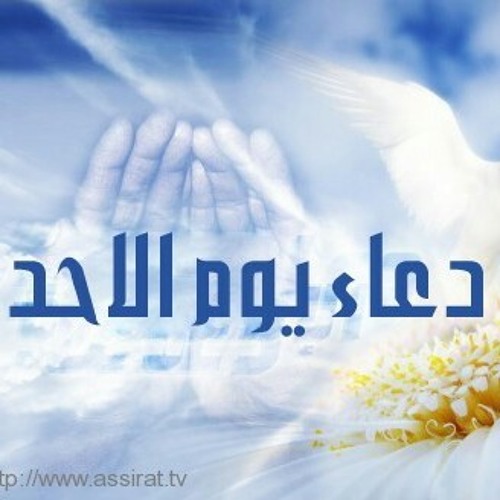 أدعية: 💽 العنوان : دعاء يوم الاحد 🎤 أداء : السيد وليد المزيدي