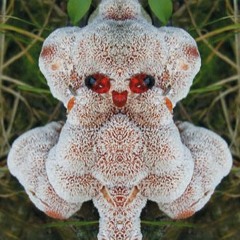 Maybe you're right - Improv