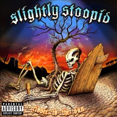 Open Road Slightly Stoopid Cover