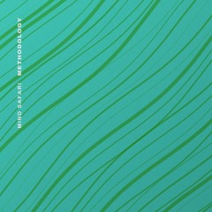 PREMIERE: DPRB04 Mind Safari - Methodology