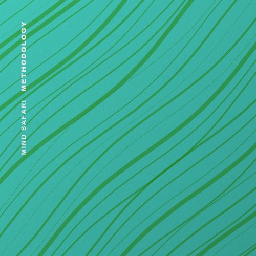 PREMIERE: DPRB04 Mind Safari - Methodology