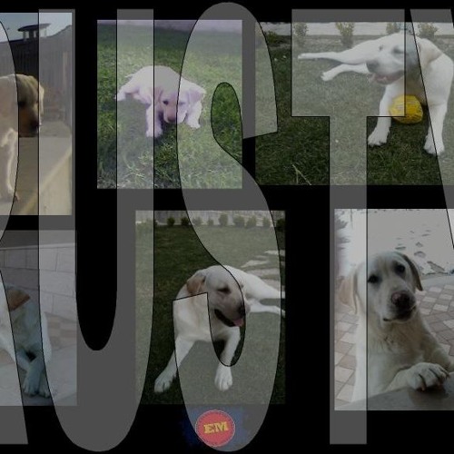 bye bye Rusty