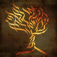 Prod Race (Arabian Paradise)Prod by. Amr Khattab