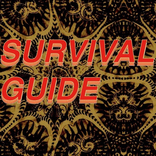 Survival Guide